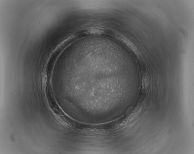 X0000111350722200907171142