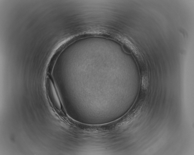 X0000111350724200907171142