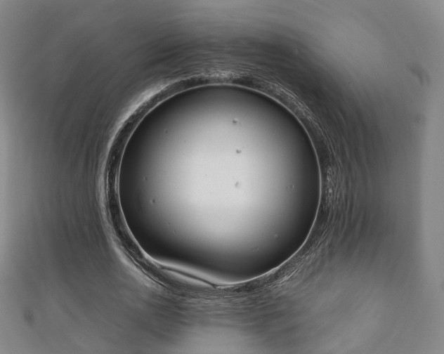 X0000111350726200907171142