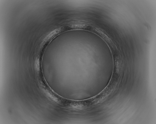 X0000111350729200907171142