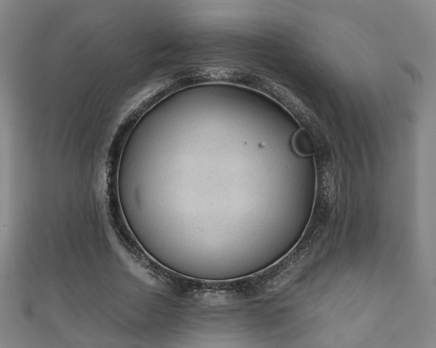 X0000111350730200907171142