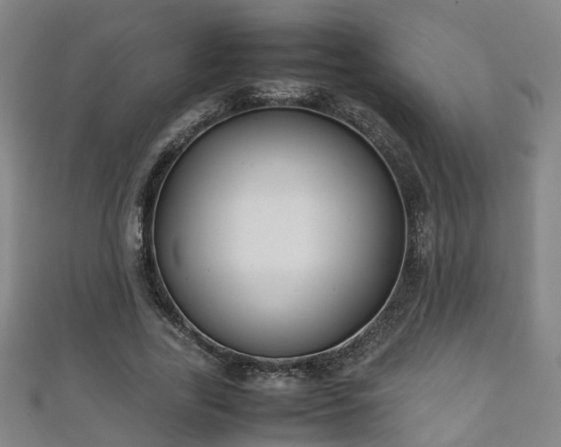 X0000111350731200907171142