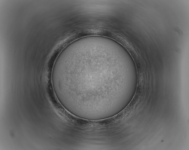 X0000111350736200907171142