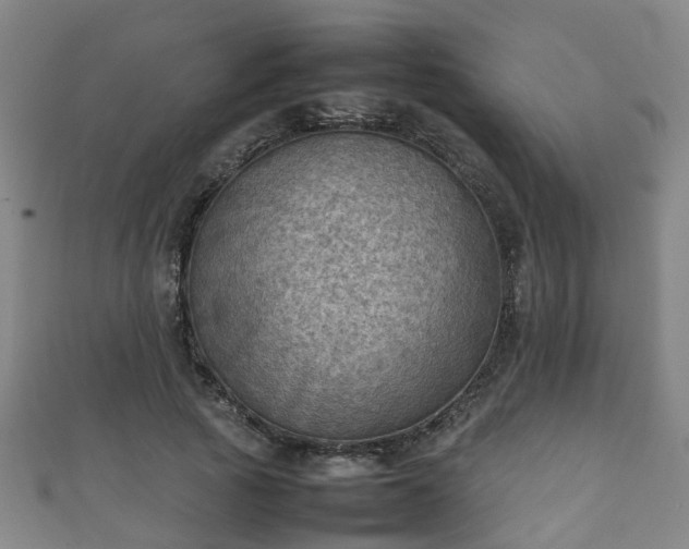 X0000111350737200907171142