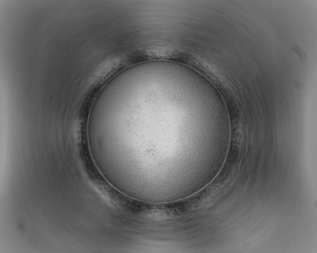 X0000111350738200907171142