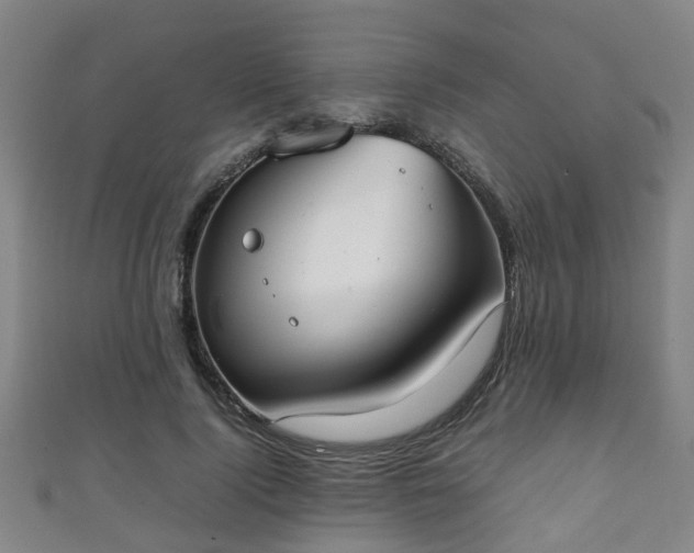 X0000111350740200907171142