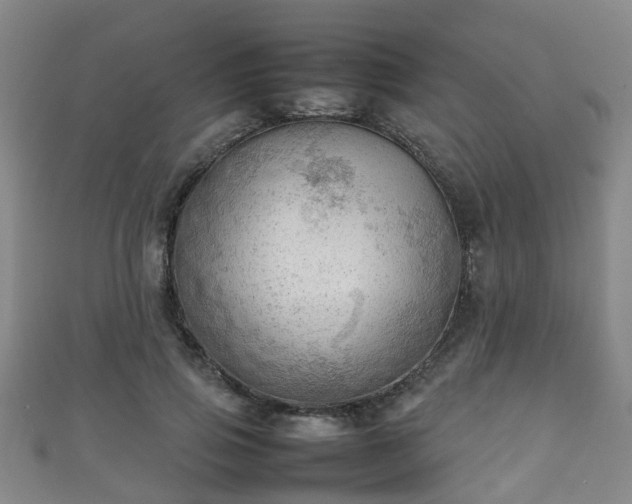 X0000111350741200907171142