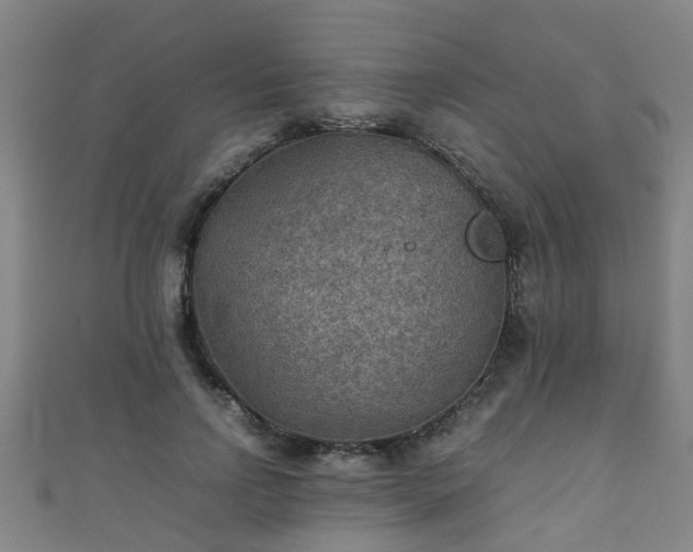 X0000111350742200907171142