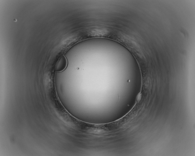 X0000111350743200907171142