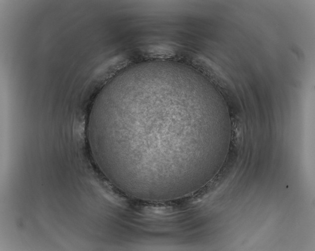 X0000111350745200907171142