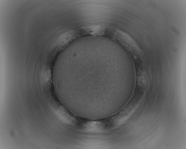 X0000111350748200907171142