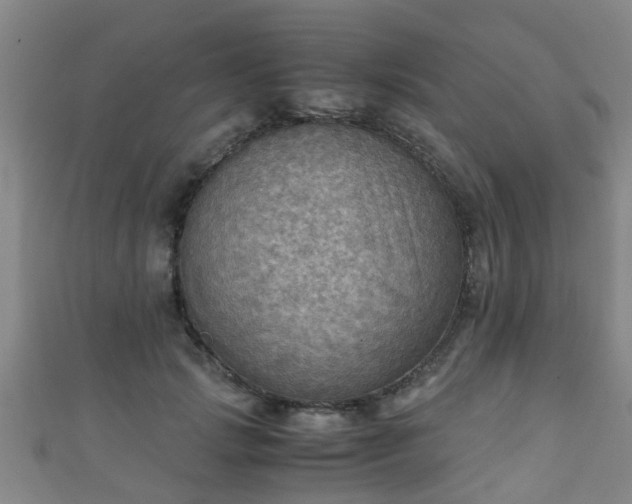 X0000111350749200907171142