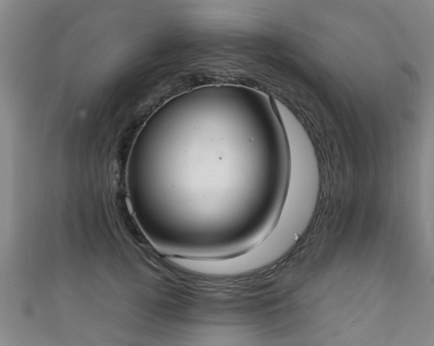 X0000111350752200907171142