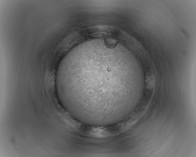 X0000111350753200907171142