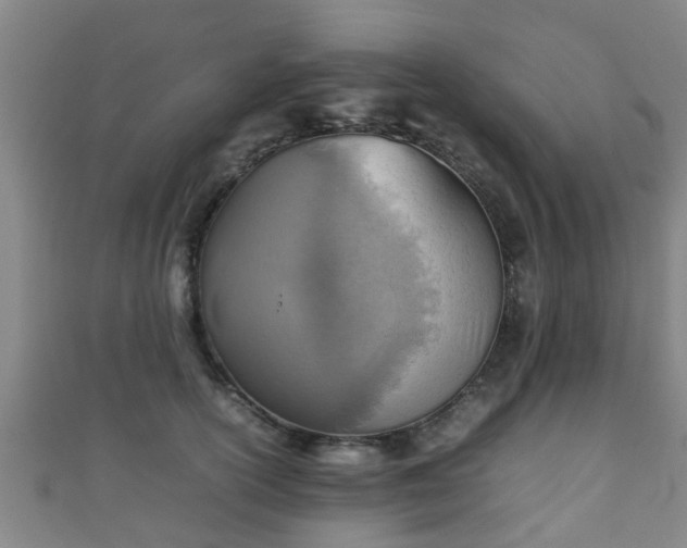 X0000111350754200907171143