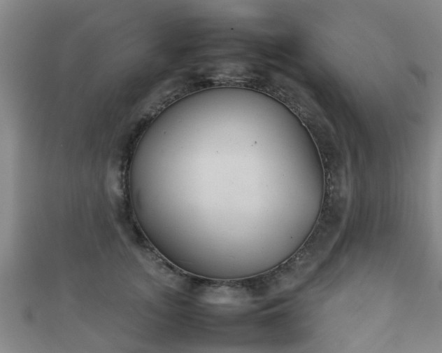 X0000111350755200907171143