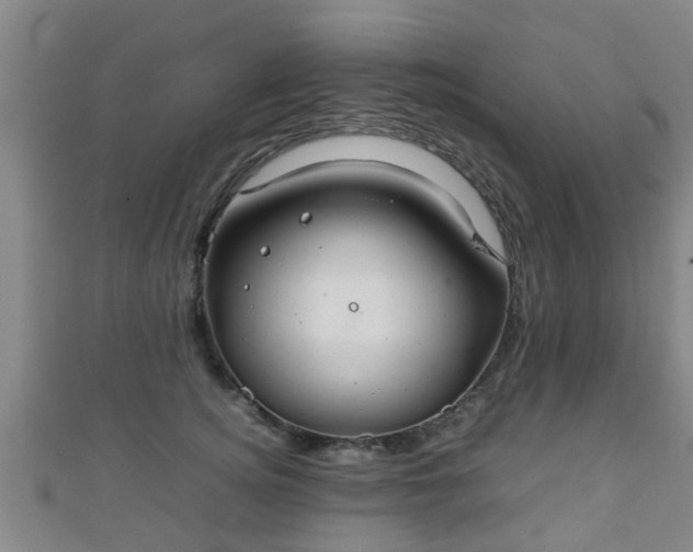 X0000111350756200907171143