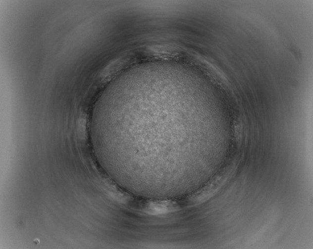 X0000111350757200907171143