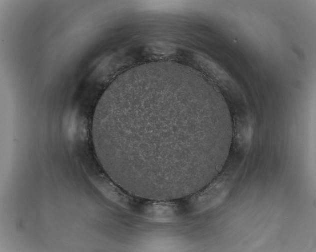 X0000111350758200907171143