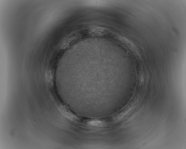 X0000111350759200907171143