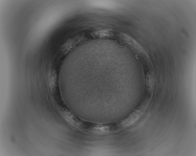 X0000111350760200907171143