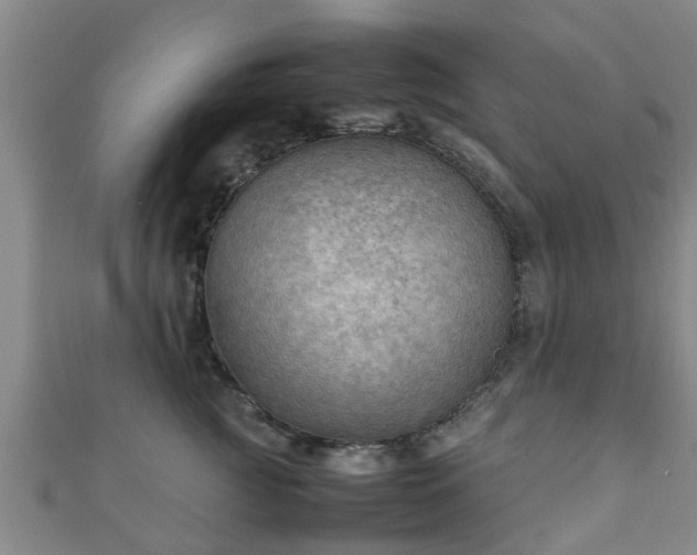 X0000111350761200907171143