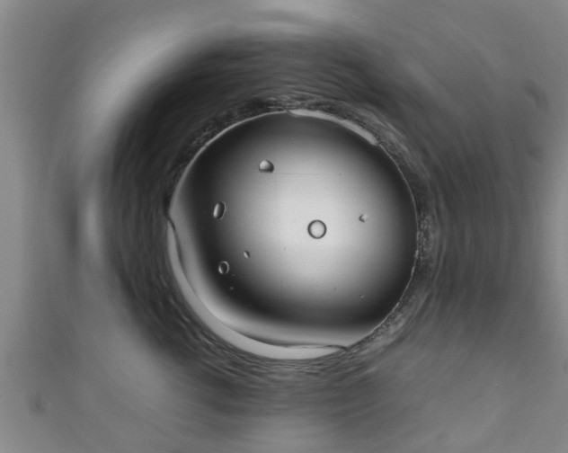 X0000111350762200907171143