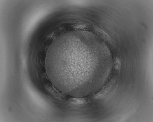 X0000111350763200907171143