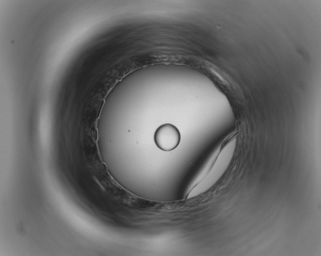 X0000111350764200907171143