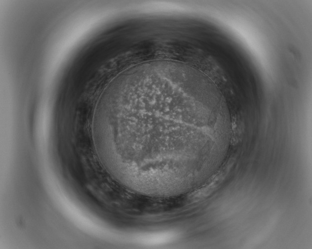 X0000111350765200907171143