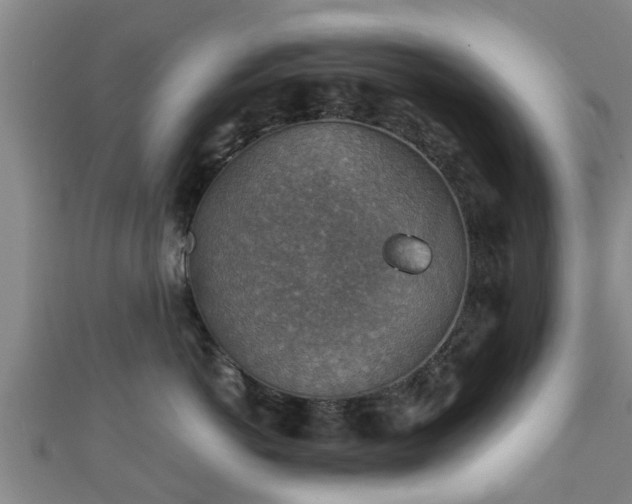 X0000111350766200907171143