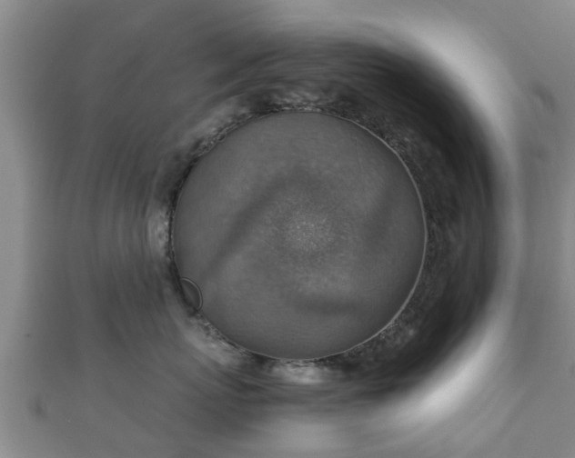 X0000111350767200907171143