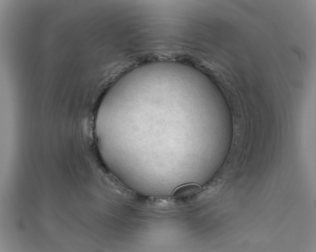 X0000111350768200907171143