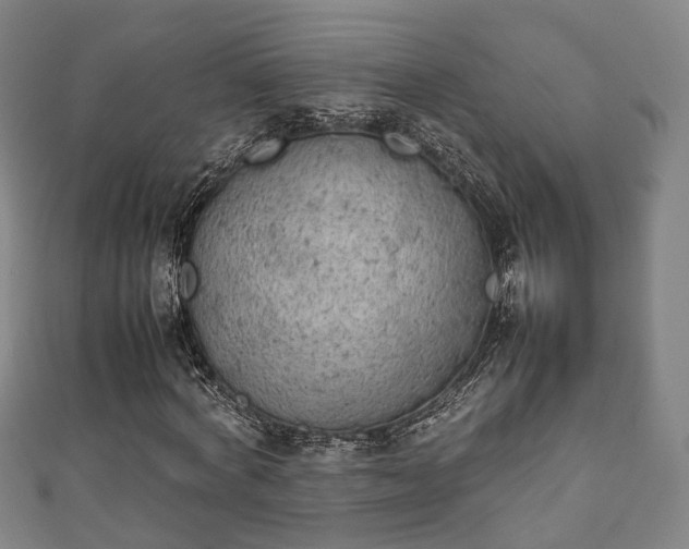 X0000111350772200907171142