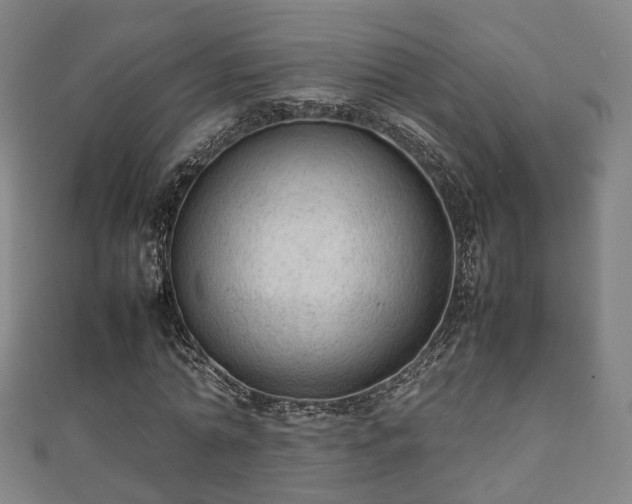 X0000111350774200907171142