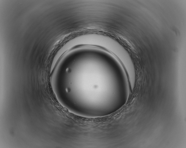 X0000111350776200907171142