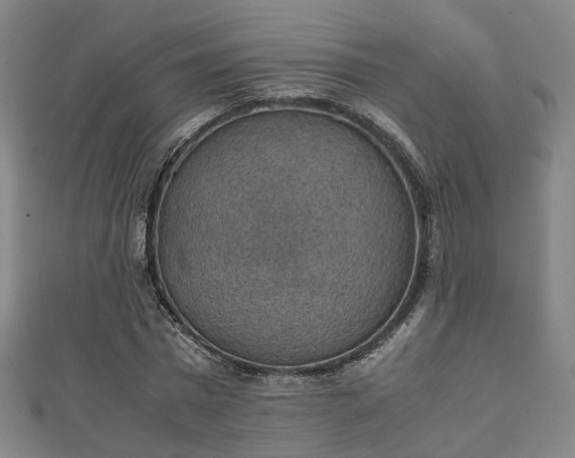 X0000111350777200907171142