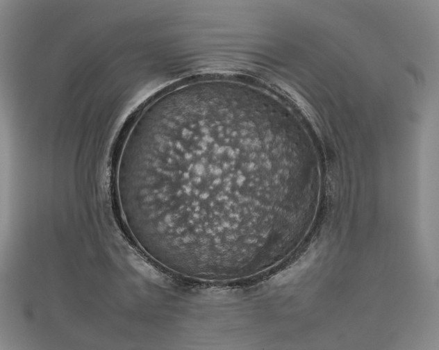 X0000111350779200907171142