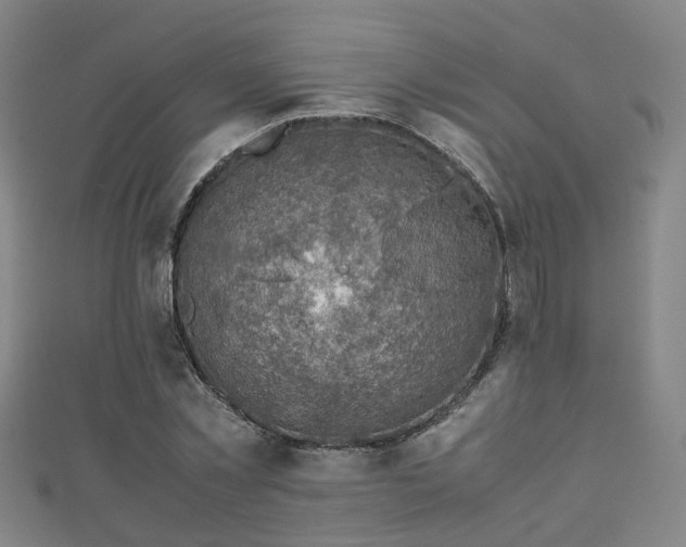 X0000111350781200907171142