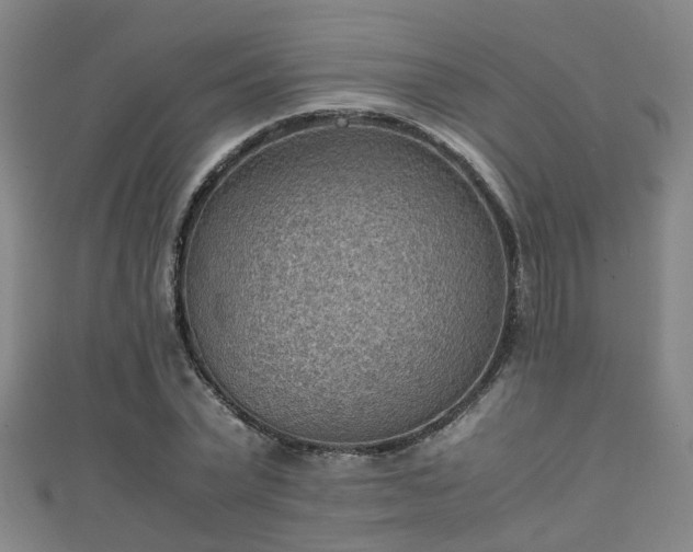 X0000111350783200907171142