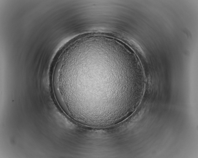 X0000111350784200907171142