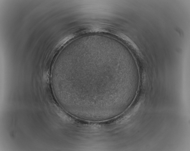 X0000111350785200907171142