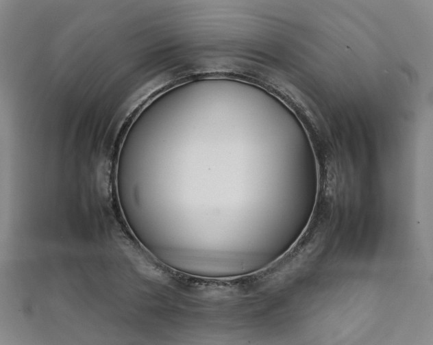 X0000111350786200907171142