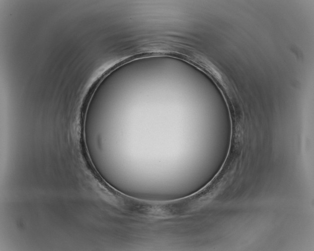 X0000111350787200907171142