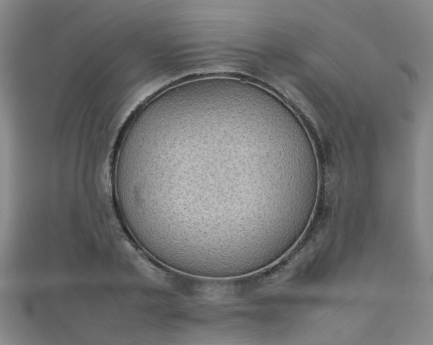 X0000111350789200907171142