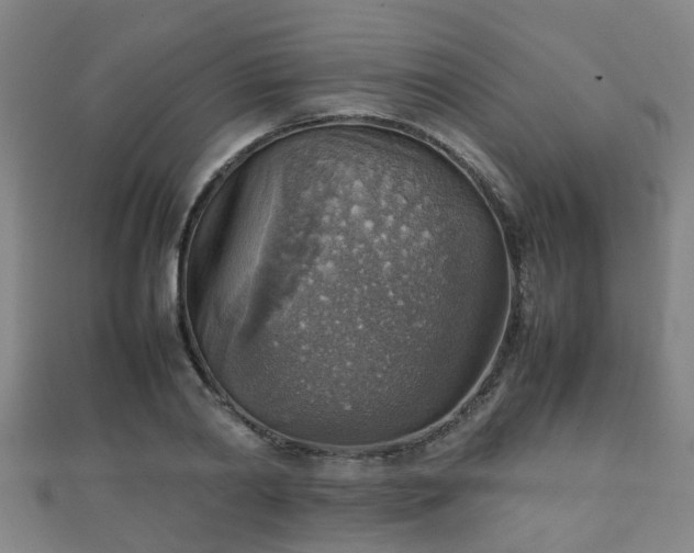 X0000111350790200907171142