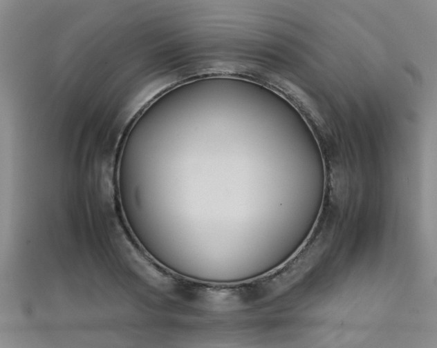 X0000111350794200907171142