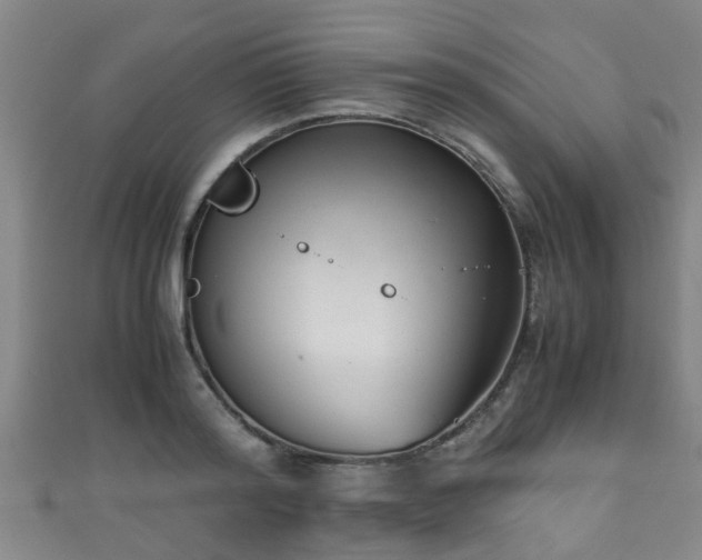 X0000111350796200907171142