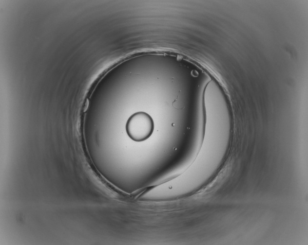 X0000111350797200907171142