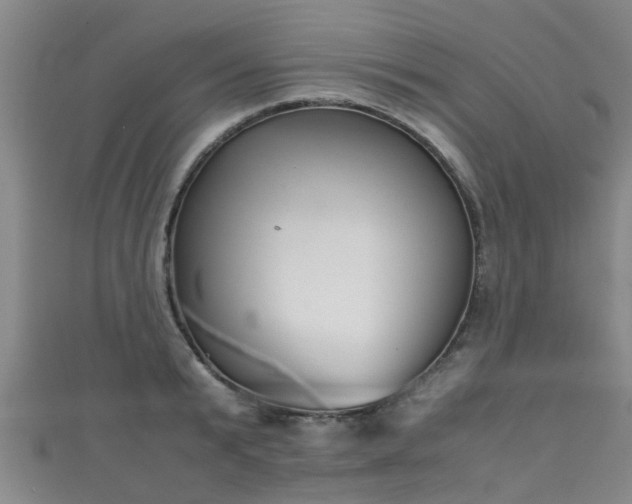 X0000111350799200907171142